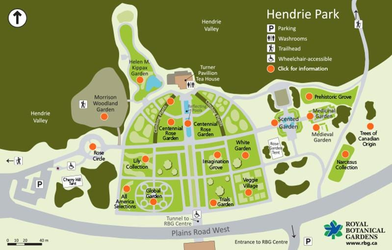 지도 RBG Hendrie 원