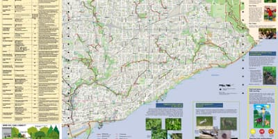 지도의 공원과 산책로 토론토 East